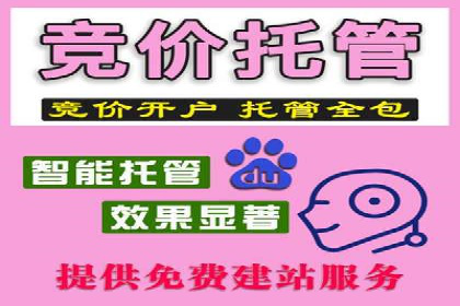 谷歌SEM在汽车行业的运用：某汽车品牌的营销策略分析